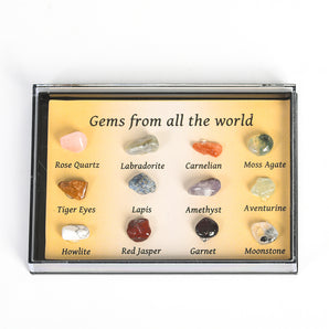 Mixed Gemstone Crystal Mineral Specimen Collection Kit